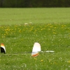 8. KirchheimOpen-Wettbewerb F3B Hülben