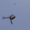 9. Eierfliegen MSG Gechingen 21.04.2014