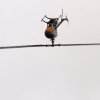 9. Eierfliegen MSG Gechingen 21.04.2014