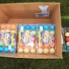 9. Eierfliegen MSG Gechingen 21.04.2014