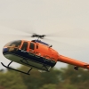 9. Eierfliegen MSG Gechingen 21.04.2014