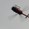 9. Eierfliegen MSG Gechingen 21.04.2014