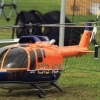 9. Eierfliegen MSG Gechingen 21.04.2014