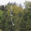9. Eierfliegen MSG Gechingen 21.04.2014