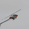 9. Eierfliegen MSG Gechingen 21.04.2014