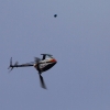 9. Eierfliegen MSG Gechingen 21.04.2014