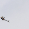 9. Eierfliegen MSG Gechingen 21.04.2014
