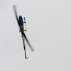 9. Eierfliegen MSG Gechingen 21.04.2014