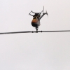 9. Eierfliegen MSG Gechingen 21.04.2014