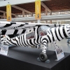 1dfh-aero2010_0057