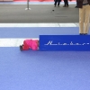 Aero 2011
