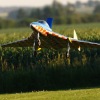 Airlinertreffen MSV Blaustein - Bermaringen e.V. 05.06..2010