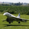 Airlinertreffen MSV Blaustein - Bermaringen e.V. 05.06..2010