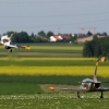 Airlinertreffen MSV Blaustein - Bermaringen e.V. 05.06..2010