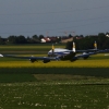 Airlinertreffen MSV Blaustein - Bermaringen e.V. 05.06..2010