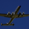Airlinertreffen MSV Blaustein - Bermaringen e.V. 05.06..2010