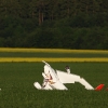 Airlinertreffen MSV Blaustein - Bermaringen e.V. 05.06..2010