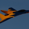 Airlinertreffen MSV Blaustein - Bermaringen e.V. 05.06..2010