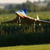 Airlinertreffen MSV Blaustein - Bermaringen e.V. 05.06..2010