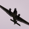Airlinertreffen MSV Blaustein - Bermaringen e.V. 06.06..2010