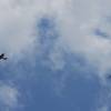 Airlinertreffen Oppingen