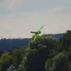 Airlinertreffen Oppingen