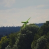 Airlinertreffen Oppingen