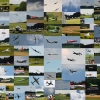 Airlinertreffen Oppingen