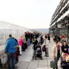 Airport-Festival 2012