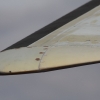 Airport-Festival 2012