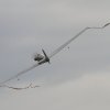Airshow MSV-Blaustein-Bermaringen e.V. 27.06.2015