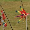 Airshow MSV-Blaustein-Bermaringen e.V. 27.06.2015