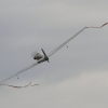 Airshow MSV-Blaustein-Bermaringen e.V. 27.06.2015