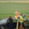 Airshow MSV-Blaustein-Bermaringen e.V. 27.06.2015
