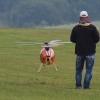 Airshow MSV-Blaustein-Bermaringen e.V. 27.06.2015