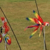 Airshow MSV-Blaustein-Bermaringen e.V. 27.06.2015