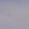 Airshow MSV-Blaustein-Bermaringen e.V. 27.06.2015