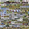 Airshow MSV-Blaustein-Bermaringen e.V. 27.06.2015