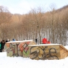[: Alb\'n\'Style :] 2013