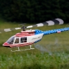 1dfh-aldingen09_0032