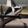 1dfh-rbar-lausitz-05082010-010