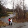 Almabtrieb