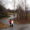 Almabtrieb