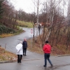 Almabtrieb
