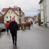 Almabtrieb