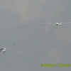 1dfh0033