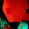 PXL_20261016_185525731.NIGHT2_