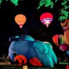 PXL_20261016_185833627.NIGHT2_