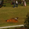 BaWü Airgames 2010