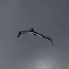 BaWü Airgames 2010
